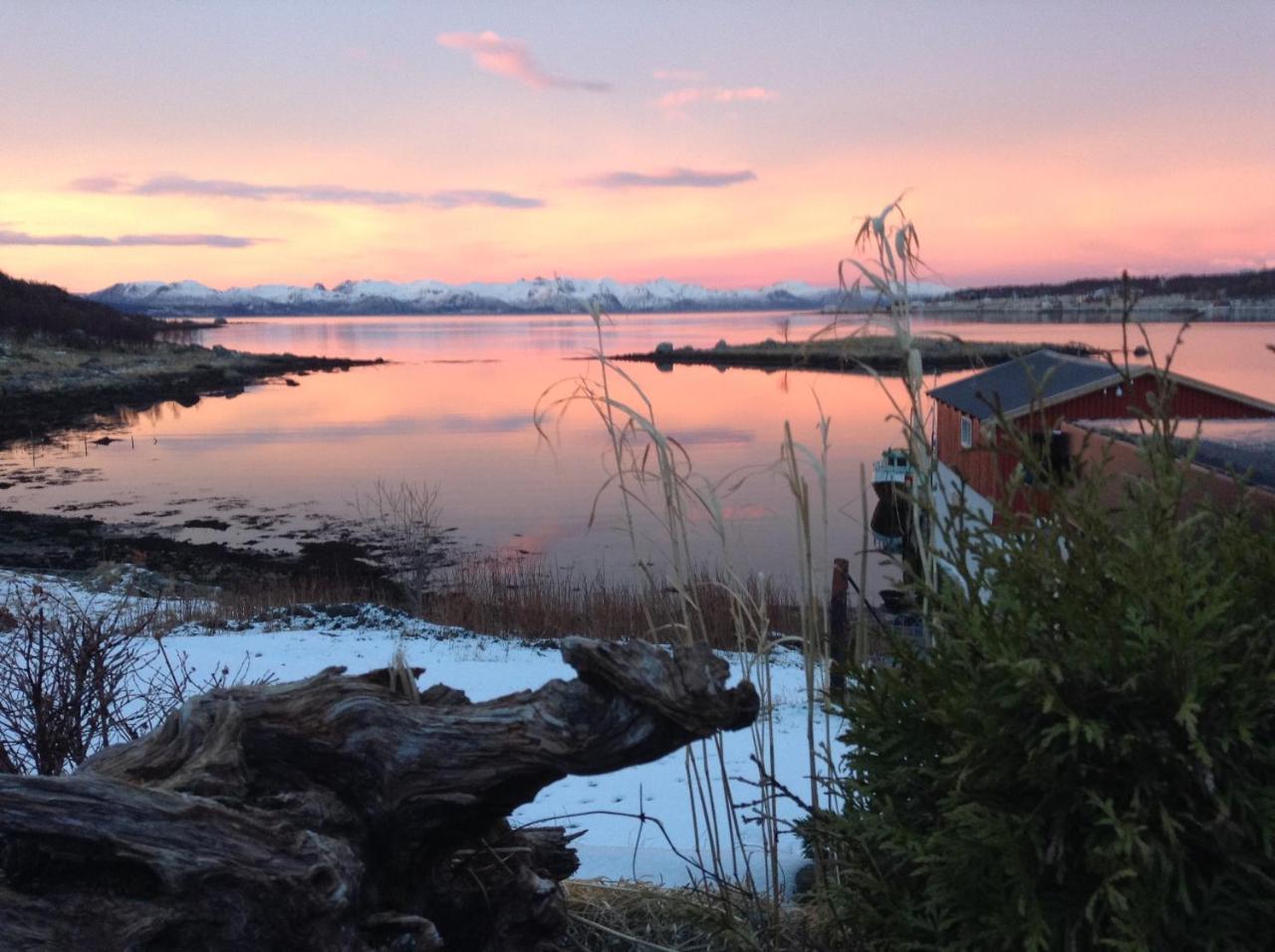 Prima Lofoten Myrland Dış mekan fotoğraf