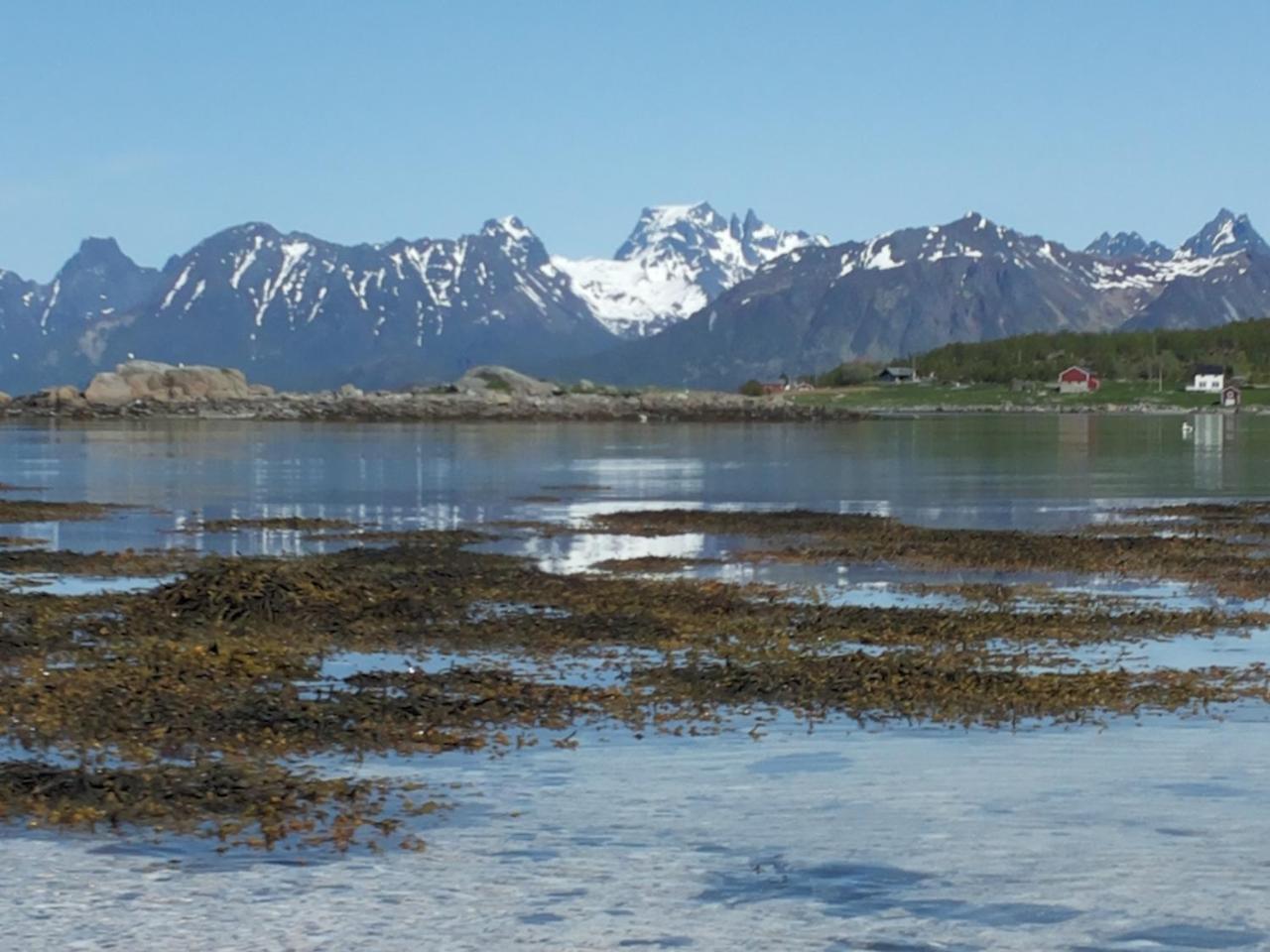 Prima Lofoten Myrland Dış mekan fotoğraf