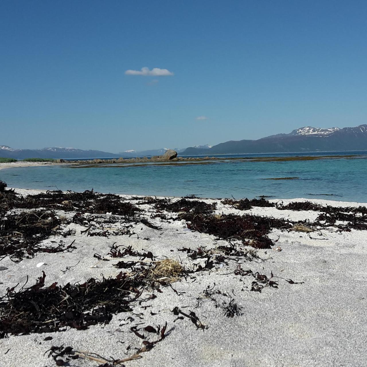 Prima Lofoten Myrland Dış mekan fotoğraf