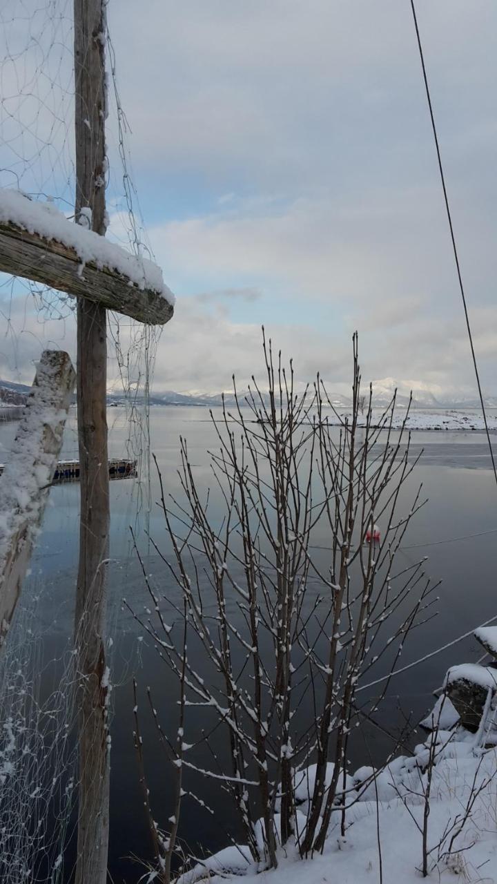 Prima Lofoten Myrland Dış mekan fotoğraf