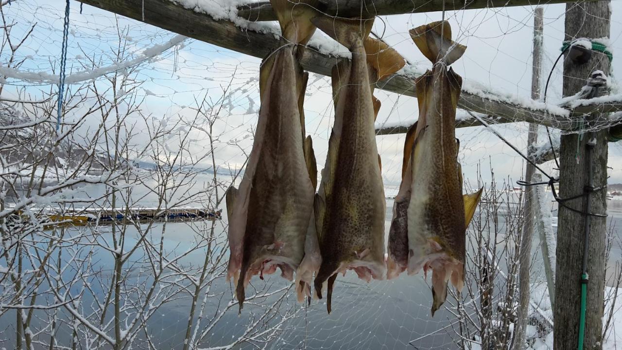 Prima Lofoten Myrland Dış mekan fotoğraf